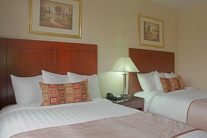 ניו יורק Best Western Plus Arena Hotel מראה חיצוני תמונה